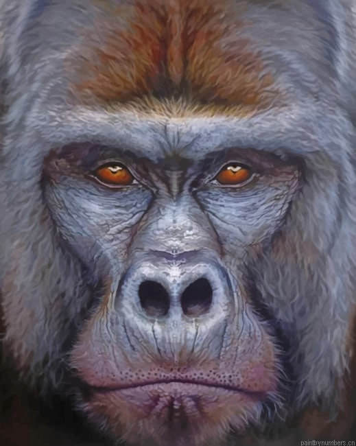 Silverback Gorilla Face Painting By Numberss.png