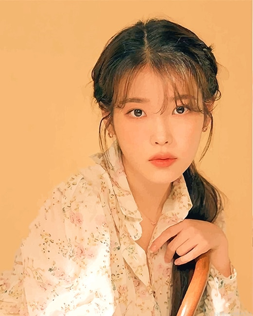 Singer Iu Painting By Numberss.png