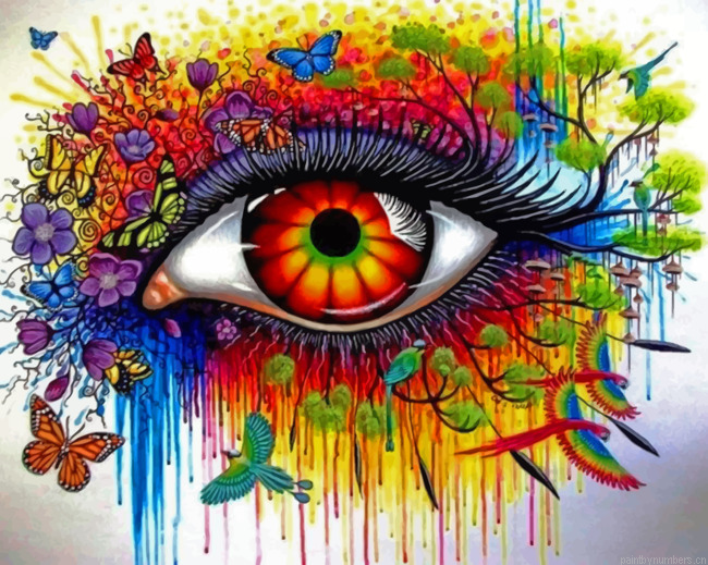 Single Eye Painting By Numberss.png