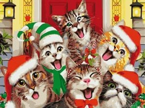 Six Christmas Cats Animals Painting By Numbers.png