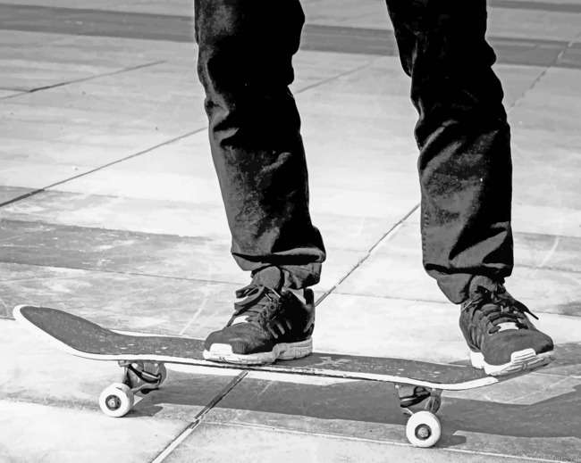Skateboard In Black And White Painting By Numberss.png