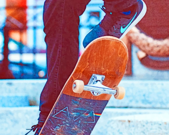 Skateboard Stunt Moves Painting By Numberss.png