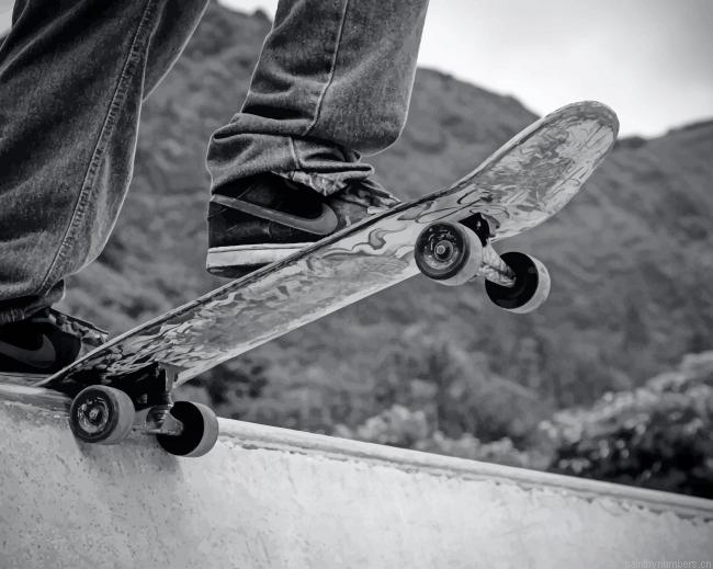 Skateboarding Black And White Painting By Numberss.png