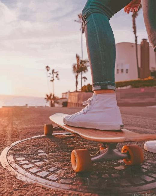 Skateboarding Girl Painting By Numberss.png