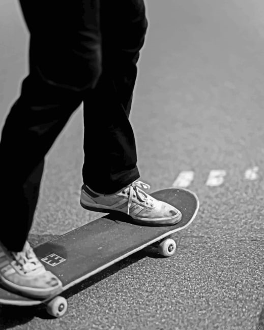 Skateboarding Sport Painting By Numberss.png
