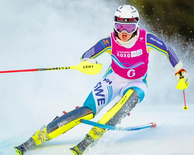 Skiing Olympic Games Painting By Numberss.png