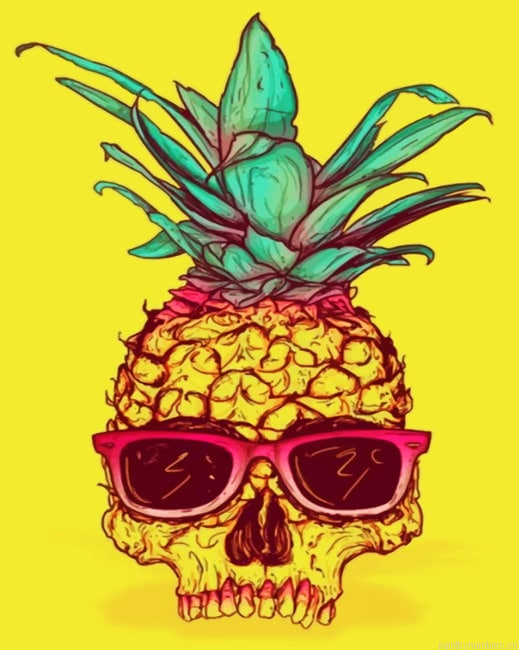 Skull Pineapple Painting By Numberss.png
