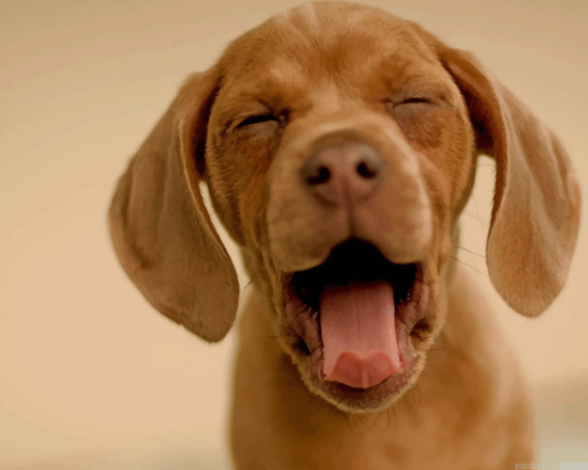 Sleepy Brown Puppy Animals Painting By Numberss.png