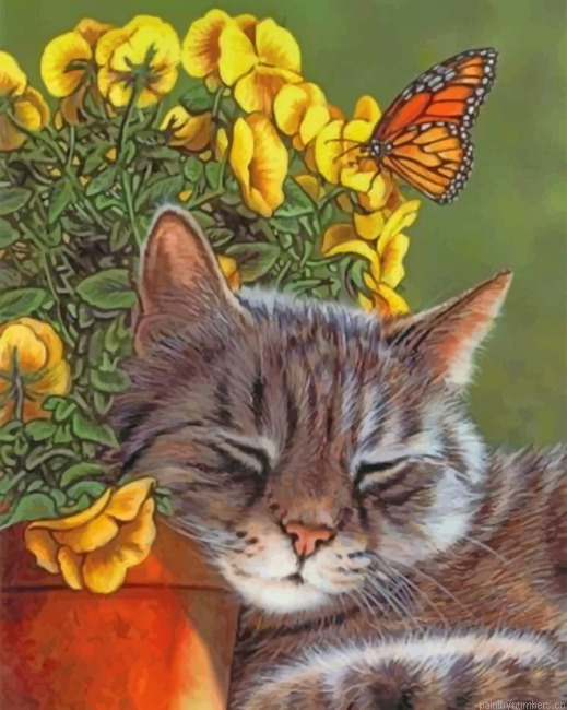 Sleepy Cat And Butterfly Painting By Numberss.png