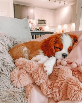 Sleepy King Charles Spaniel Painting By Numbers.png