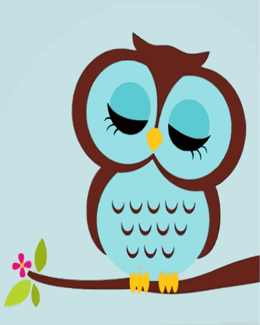 Sleepy Owl Painting By Numbers.png