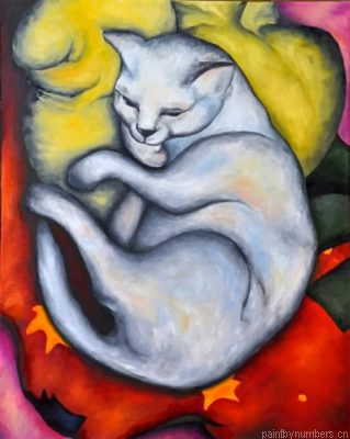 Sleepy White Cat Painting By Numberss.png