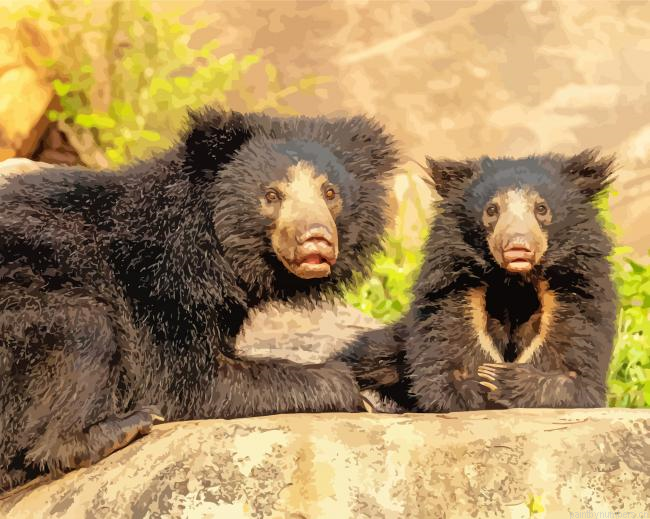 Sloth Bears Painting By Numberss.png