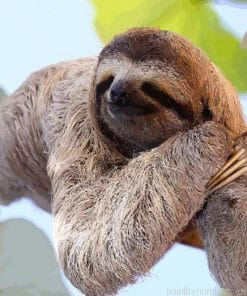 Sloth Laying On A Branch Painting By Numberss.png