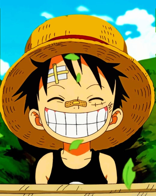 Smiling Monkey Luffy One Piece Painting By Numbers.png