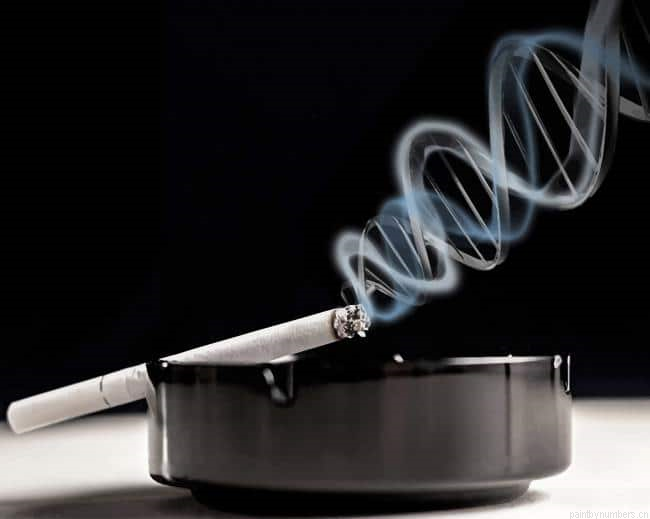 Smoke Cigarette Painting By Numberss.png