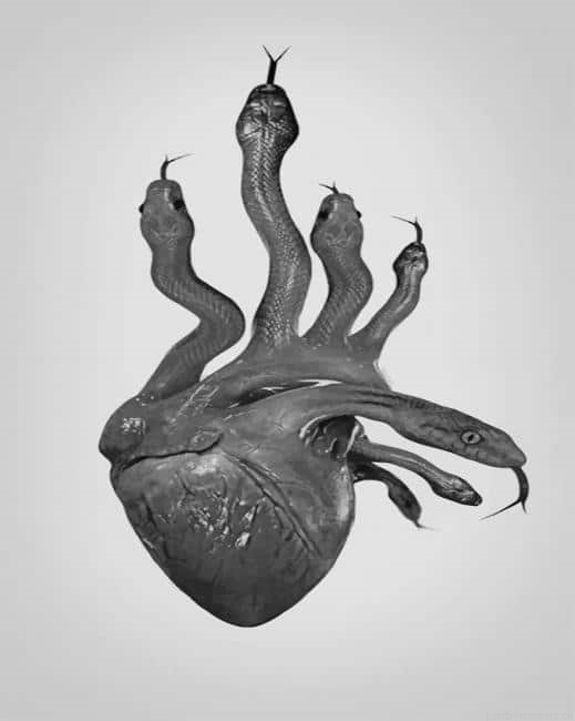 Snakes Heart Painting By Numberss.png