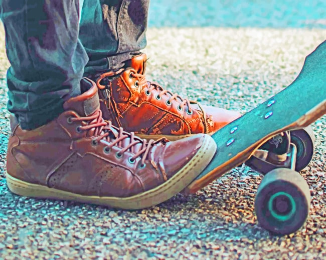Sneakers On Skateboard Painting By Numberss.png