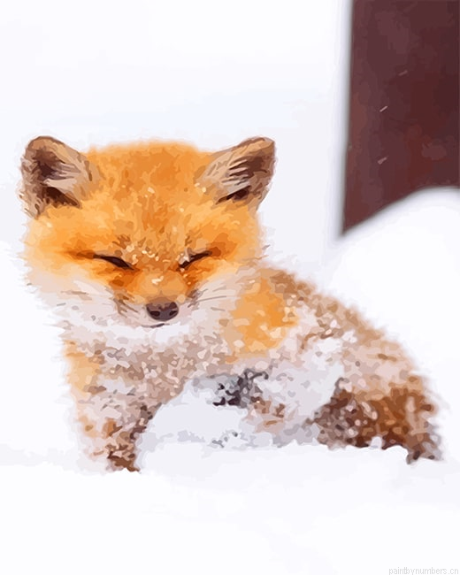 Snow Baby Fox Animals Painting By Numberss.png