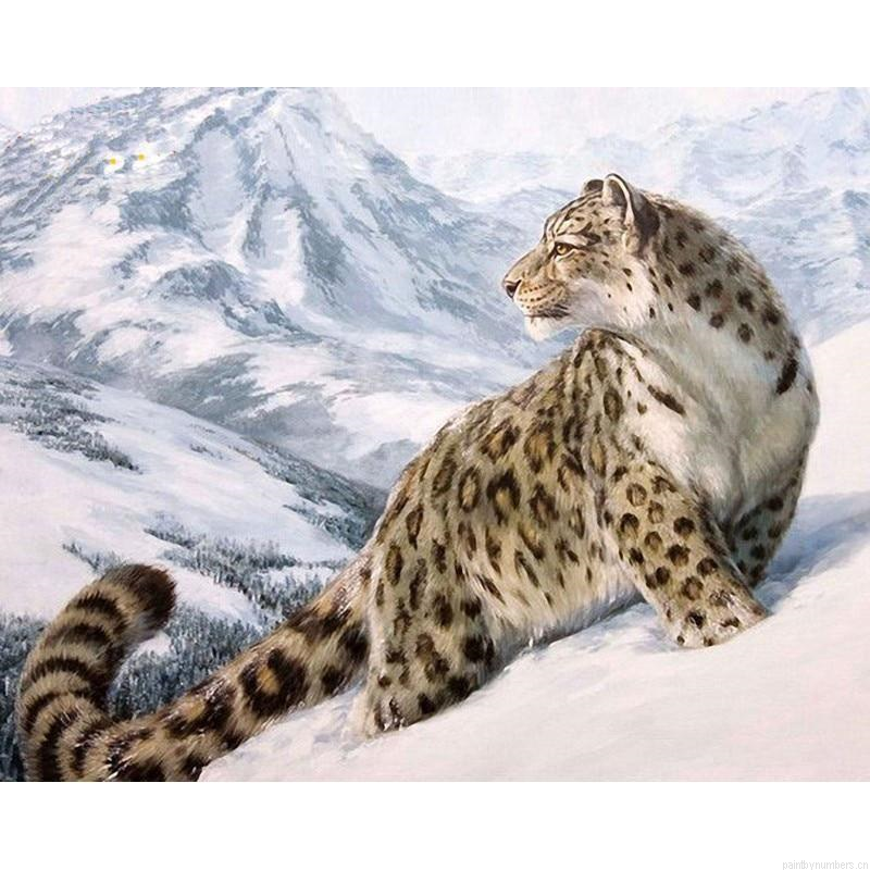 Snow Leopard Painting By Numbers.png