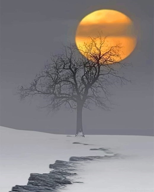 Snow Moon Painting By Numbers.png