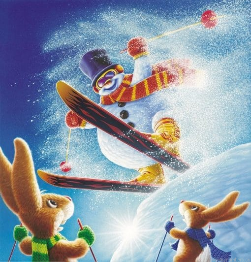 Snow Rider Painting By Numbers.png