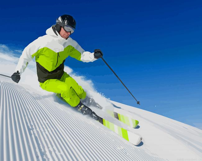 Snow Skiing Painting By Numbers.png