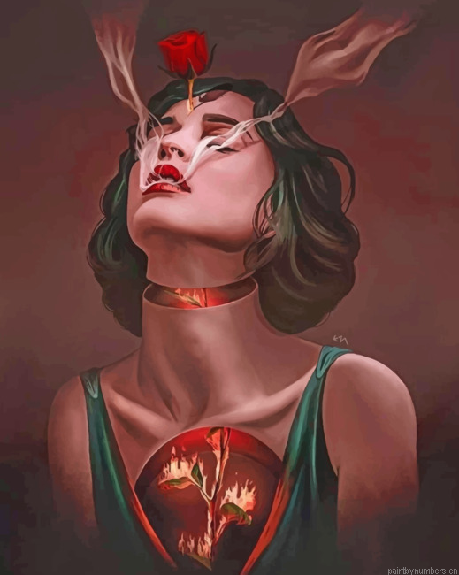 Snow White Girl Painting By Numberss.png