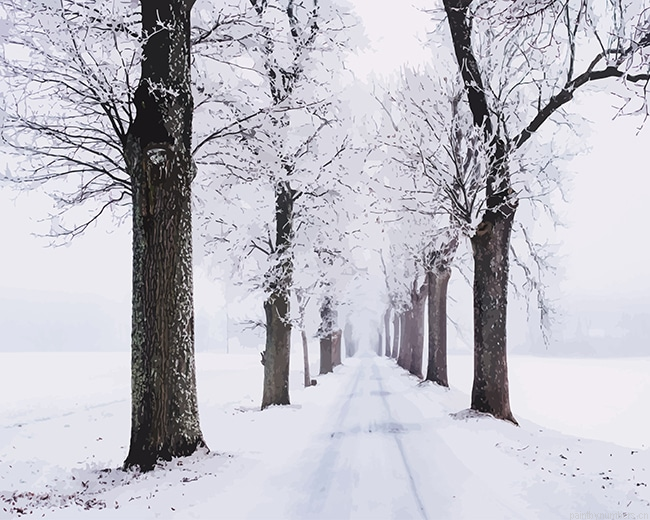 Snowy Pathway Surrounded By Trees Painting By Numberss.png