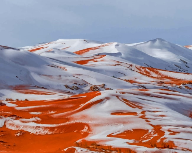 Snowy Saharan Vibes Snow Painting By Numberss.png