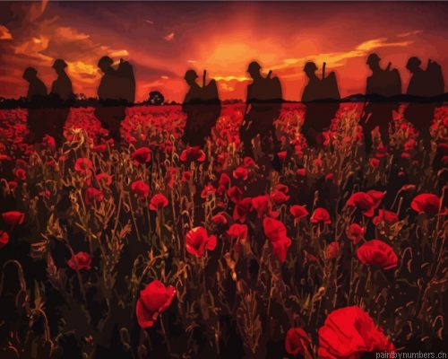 Soldiers Poppy Field Painting By Numbers.png