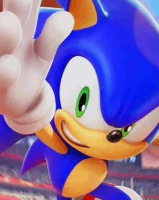 Sonic At The Olympic Painting By Numberss.png
