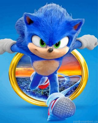 Sonic Hedgehog Painting By Numbers.png