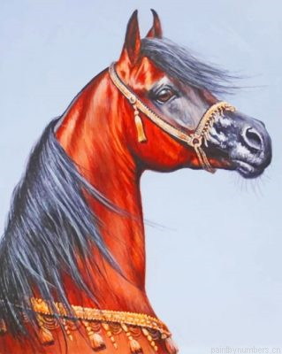 Sorrel Arabian Horse Painting By Numberss.png