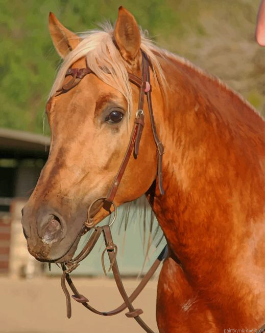 Sorrel Brown Horse Animals Painting By Numberss.png
