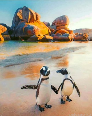 South African Penguins Painting By Numbers.png
