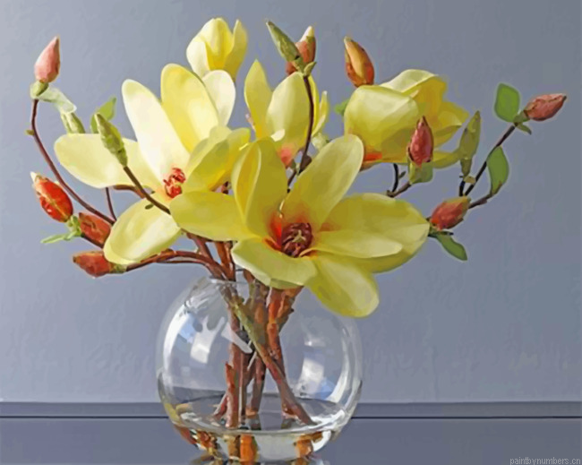 Southern Magnolia Painting By Numbers.png