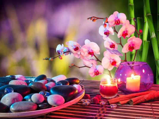 Spa Orchid Flower Painting By Numbers.png