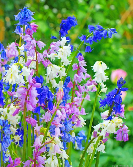 Spanish Bluebells Painting By Numbers.png