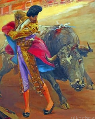 Spanish Bullfighter Painting By Numbers.png