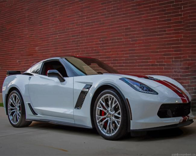 Speedy White Coup Car Painting By Numberss.png