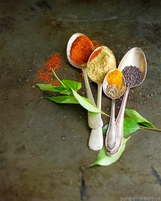 Spices Spoon Food Painting By Numbers.png