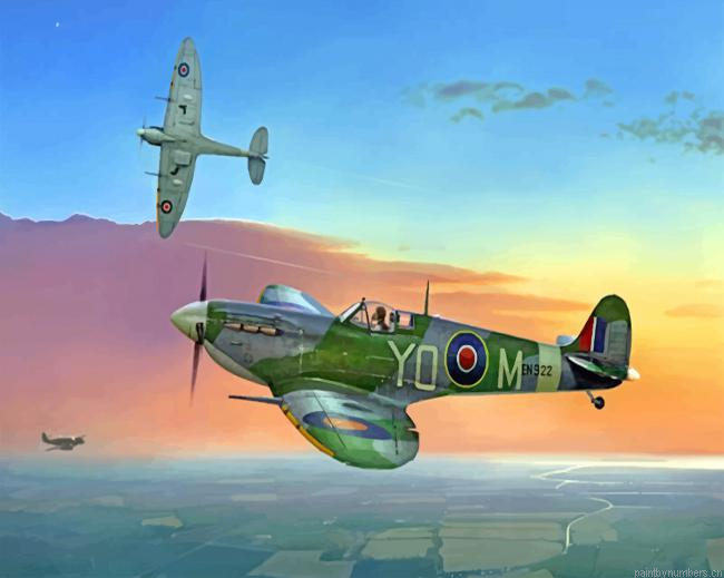 Spitfire Illustration Painting By Numberss.png
