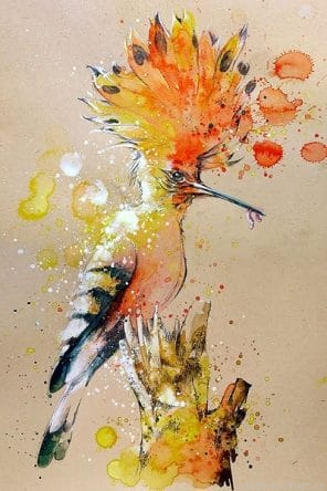Splashed Bird Painting By Numberss.png