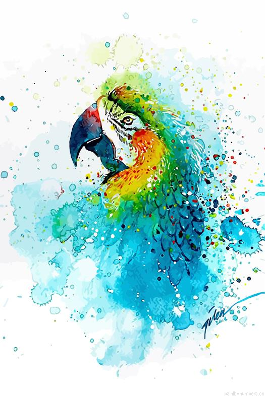 Splashed Parrot Birds Painting By Numberss.png