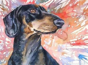 Splatter Dachshund Dog Painting By Numberss.png