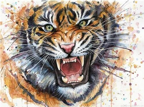 Splatter Tiger Animals Painting By Numbers.png