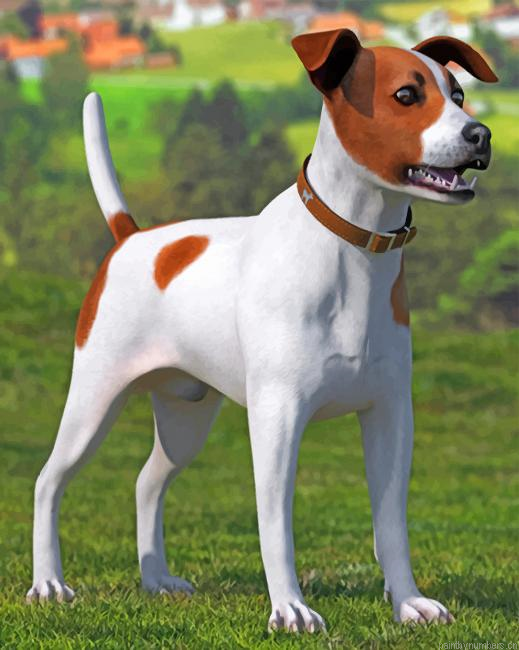 Spotted Jack Russell Terrier Painting By Numberss.png
