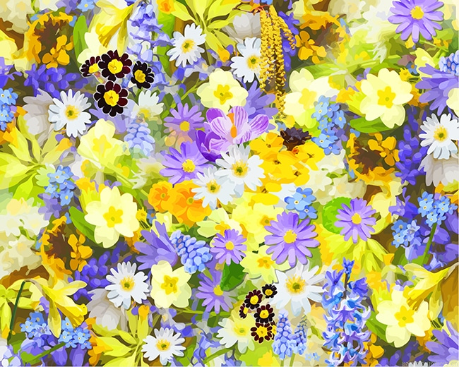 Spring Flowers Painting By Numbers.png