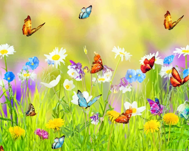 Spring Meadow And Butterflies Painting By Numbers.png